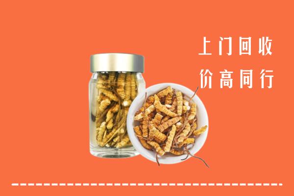 娄底市高价回收冬虫夏草